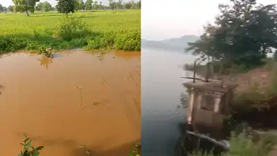 109-year-old Bodalkasa dam breaches in Gondia, authorities say no: The wider industry impact