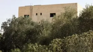 Jordan said its air force killed more than 20 Islamic State (IS) terrorists in airstrikes