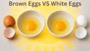 Another misconception about brown and white eggs is that their tastes differ