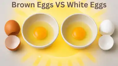 Another misconception about brown and white eggs is that their tastes differ