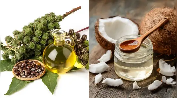 Castor oil and coconut oil are two of the most popular choices, both often credited