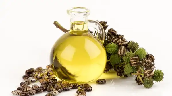Castor oil and coconut oil are two of the most popular choices, both often credited