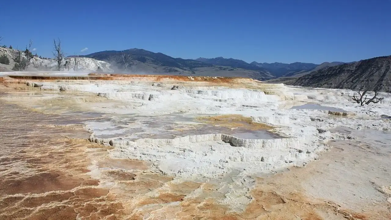During the June 2005 field investigation, scientists used dye: The wider industry impact