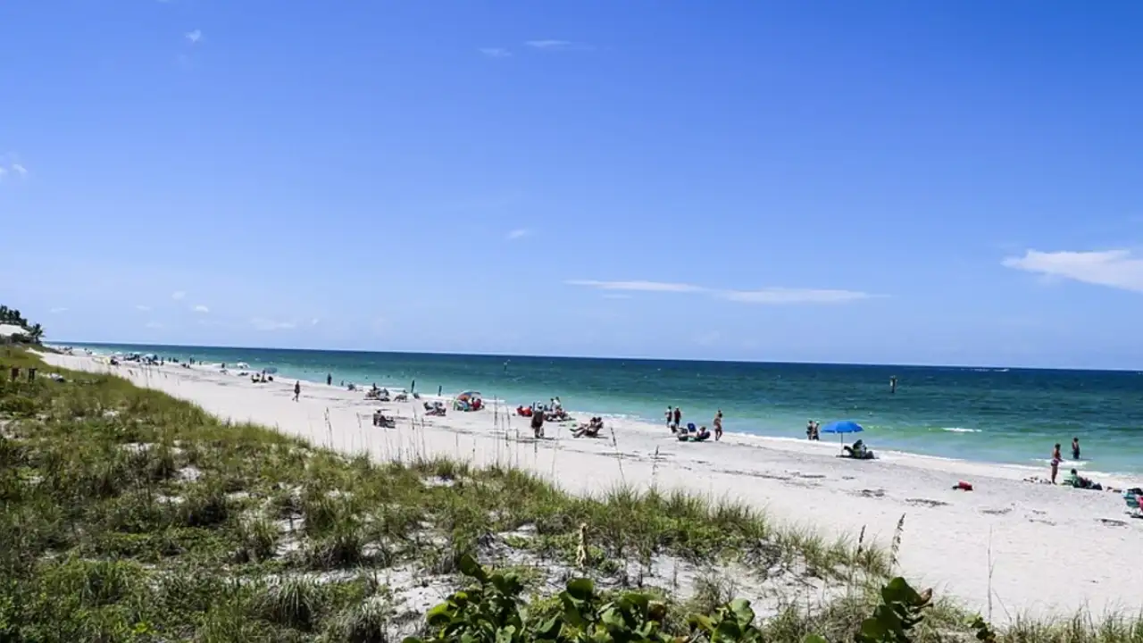In 2016, a Florida diver reported possible human remains offshore: The wider industry impact