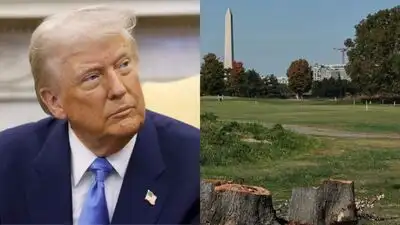 A US judge extends a ban on further tree removal at Trump's Washington golf course, where more than