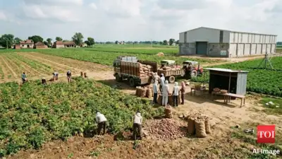 With better storage, stronger market linkages, processing facilities: The wider industry impact