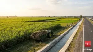 Since Chief Minister Yogi Adityanath took office in 2017, Lakhimpur: The wider industry impact