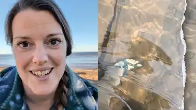 For a mother and son who had spent years on the same beach, that fleeting window transformed