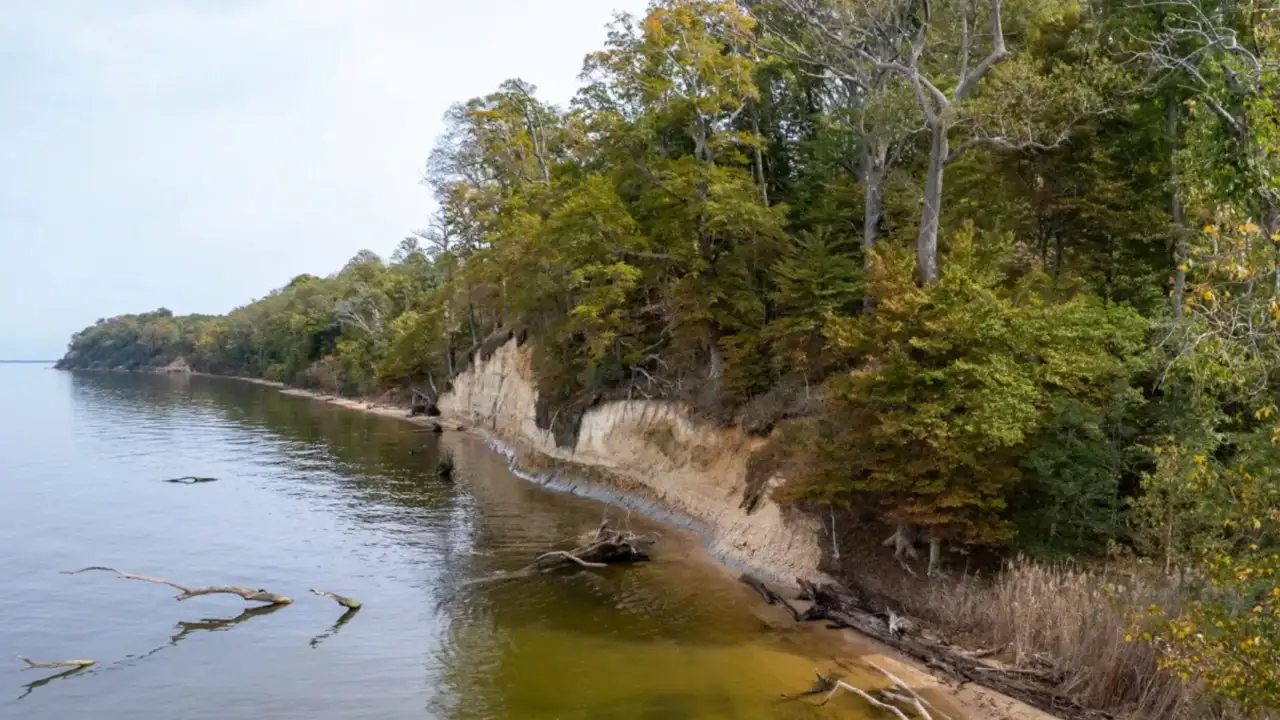 At a Virginia plantation linked to the Lee family, 480 acres along: The wider industry impact