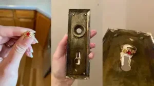 Couple restoring 1913 home finds a mystery ring glued inside a door plate — Hidden treasure behind
