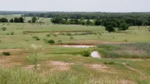 In 1958, Texas voters rejected a $15 million reservoir plan; 68 years later, a judge overturned