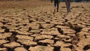 Maharashtra's deficient monsoon, coupled with a developing: The wider industry impact
