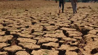 Maharashtra's deficient monsoon, coupled with a developing: The wider industry impact