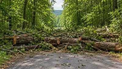 A New York family owned half of a private road beside its 45-acre property; after relatives blocked