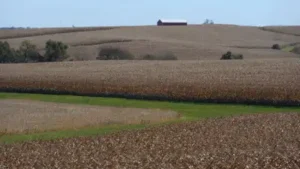 In 2024, an Iowa court let a farmer keep the family land his father had transferred to him, despite
