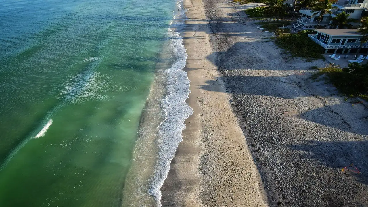 In 2024, a Florida diver thought he'd found driftwood underwater: The wider industry impact