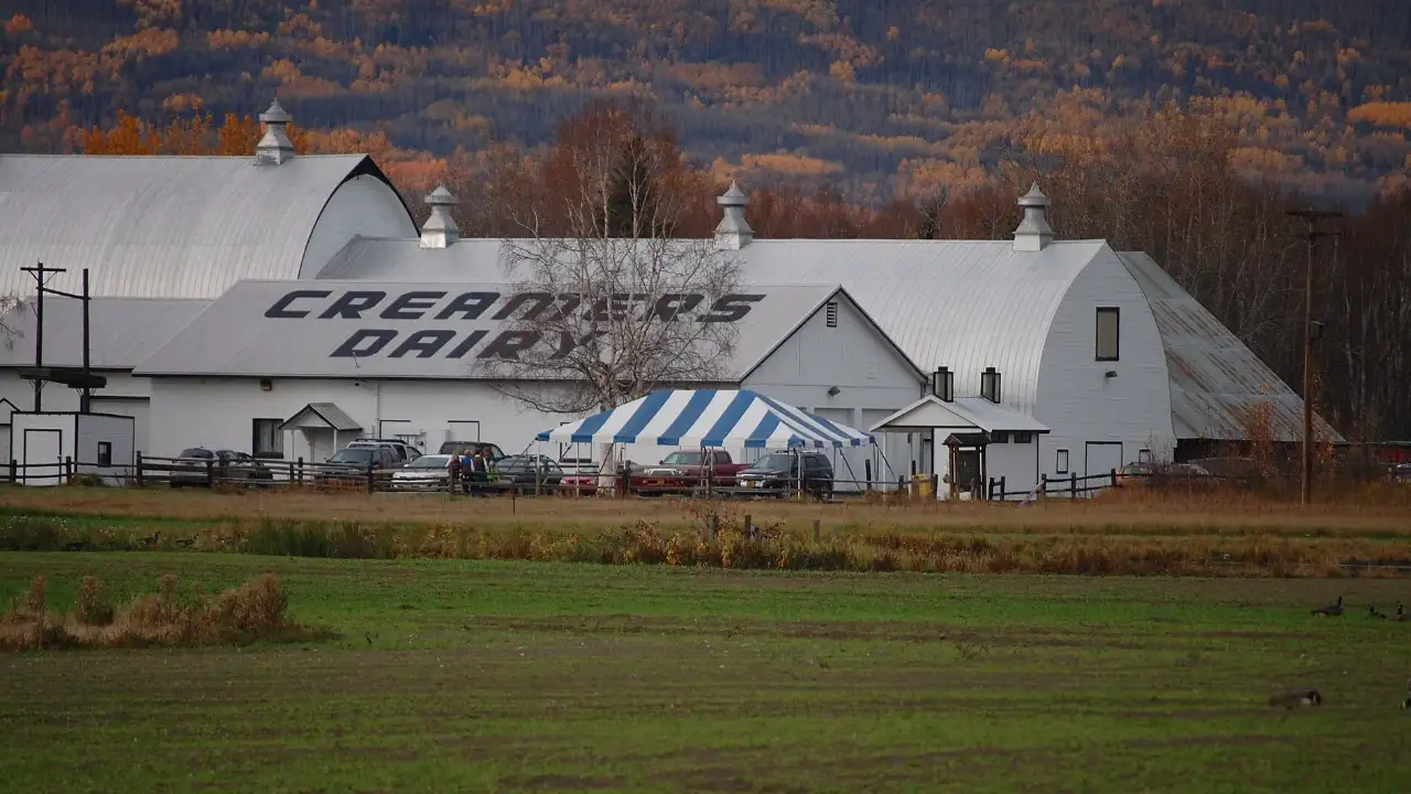 In 1966, an Alaska dairy farm went up for sale; the community helped keep it off the open market