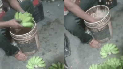 Bananas soaked in ethephon? 1,394kg stock seized in Navi Mumbai raid: The wider industry impact