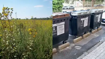 Native prairie grasses grew more successfully in plots that were treated with high doses