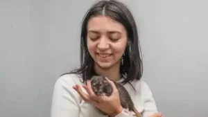 British university student turns her pet rats into viral miniature: The wider industry impact