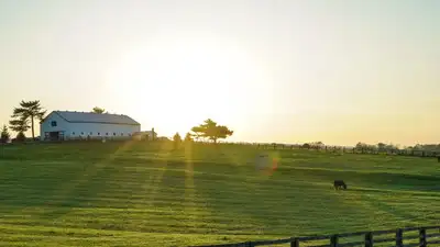 In 2025, a Kentucky appeals court stopped one brother from forcing the sale of a 135-acre farm