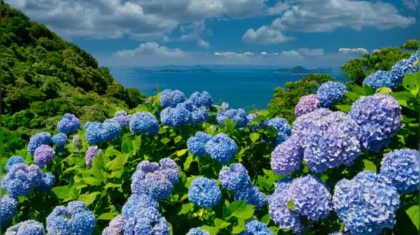 Its flowers can appear blue or pink depending on the soil as stated in a report of American