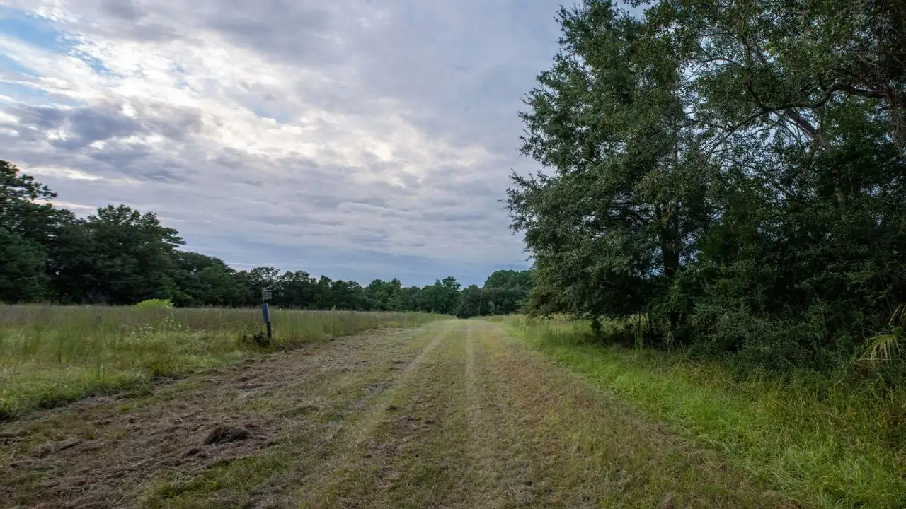 In 1985, Charleston Museum received over 700 acres on James Island: The wider industry impact