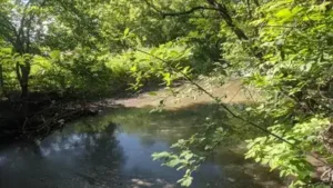 In 1993, DuPage County began converting an old quarry in Illinois into a reservoir for Salt Creek