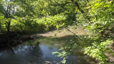 In 1993, DuPage County began converting an old quarry in Illinois into a reservoir for Salt Creek