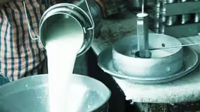 Karnataka hikes milk prices by Rs 8 per litre from Nov 1, farmers to receives Rs 7