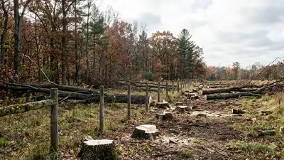 In 2015, a Kansas neighbour building a boundary fence cut 133 trees, some as far as 70 feet inside