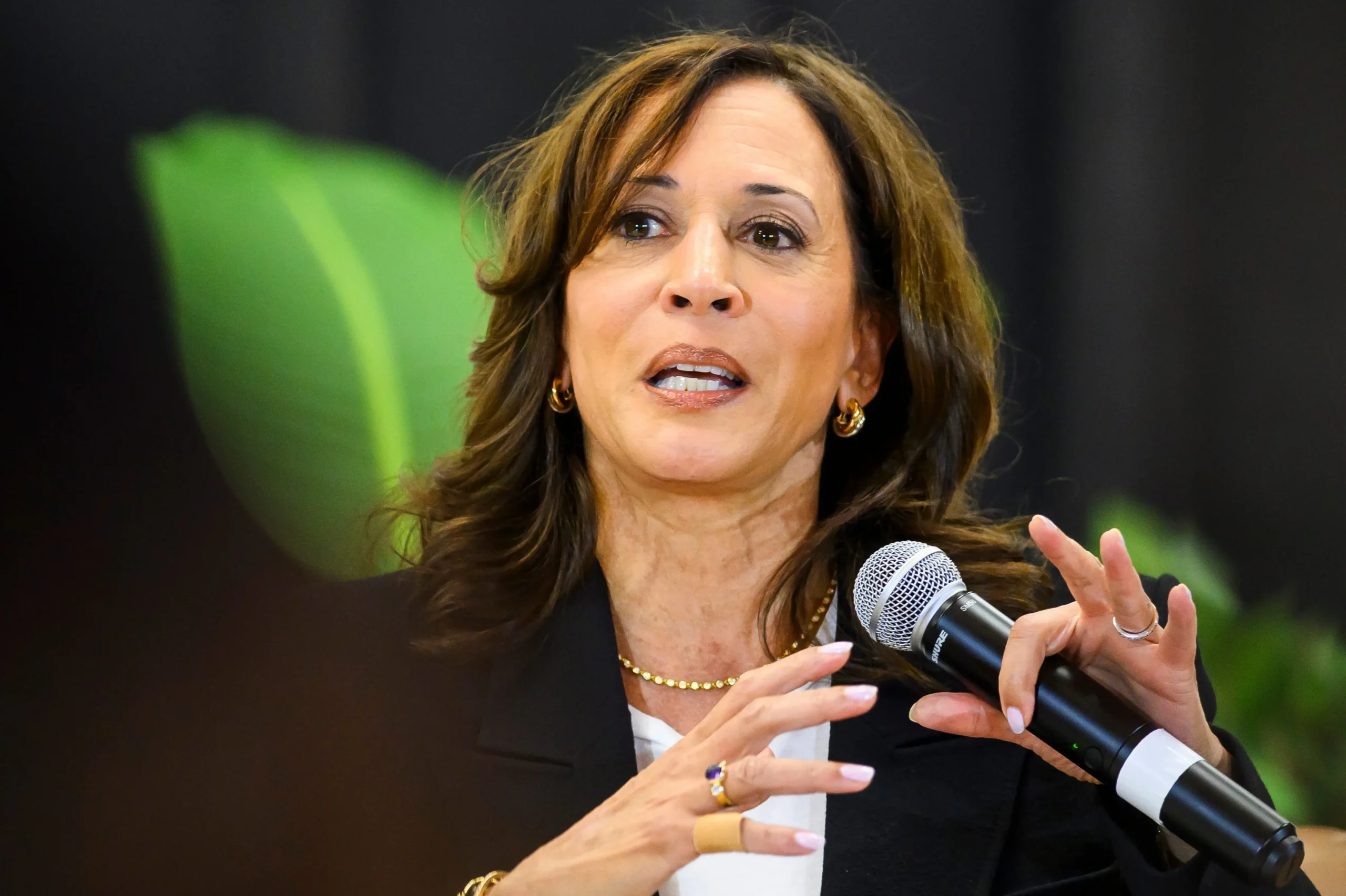 Former US vice president Kamala Harris