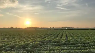 Arkansas officials took just 1.62 acres from a family trust's land and initially valued the loss