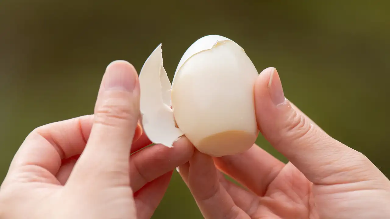 Fresh eggs have a strong bond between the inner shell membrane and the egg white, which makes