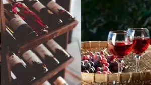 Here are some unique wines from all around the world!