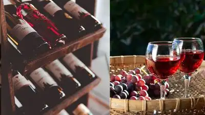 Here are some unique wines from all around the world!