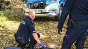 Polish police have arrested a 19-year-old man after a knife attack at a vocational school