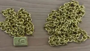DRI arrests passenger arriving on Vande Bharat in Lucknow — Rs 1.72 crore gold hidden under knee cap