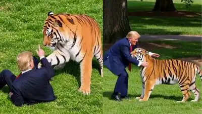 US President Donald Trump posted this AI video of him with a tiger