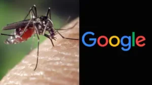 In 2015, Google helped 'release' 3 million mosquitoes in Australia: The wider industry impact