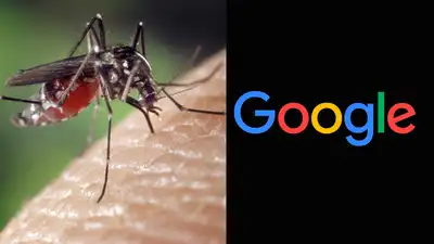 In 2015, Google helped 'release' 3 million mosquitoes in Australia: The wider industry impact
