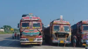 For over a month, trucks laden with raw petroleum coke have been: The wider industry impact