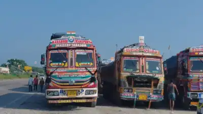 For over a month, trucks laden with raw petroleum coke have been: The wider industry impact