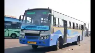 Tamil Nadu State Transport Corporation to operate special buses —: The wider industry impact