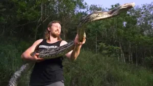 Florida python hunter captures 18-foot invasive python in Puerto Rico after it strangled a pet cat