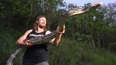 Florida python hunter captures 18-foot invasive python in Puerto Rico after it strangled a pet cat