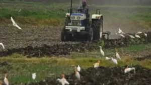 Agricultural input subsidy scheme of the Uttar Pradesh government
