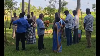 Deva's farmland i Ranipet district where his last rites will be held on Sunday