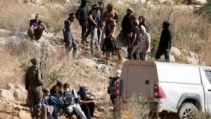 Five Italian women activists detained by Israeli forces: The wider industry impact