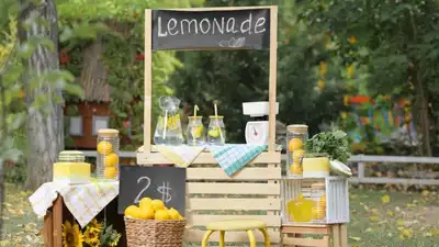 Vivienne Harr started a roadside lemonade stand on 25 June 2012
